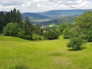 Charmante maison rénovée avec 3 chambres, garage, et animaux admis à Gerbamont - FR-1-589-161 - 3