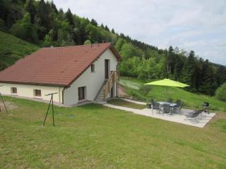 Charmante maison rénovée avec 3 chambres, garage, et animaux admis à Gerbamont - FR-1-589-161 - 2