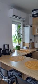 Apartament Elena - Sibiu - 9