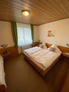 Pension Milberg Assmannshausen - 9