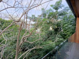 KLUENNGAM Cafe & Stay - Songkhla - 1