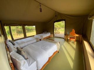 Maasai Heritage Eco Camp - Ololaimutiek - 8