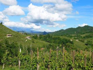 Landlord La Pieve Apartment - Valdobbiadene - 7