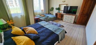 Apartmanica Double room apartment with balcony 101-30 St Ivan Rilski SPA Resort Bansko - Bansko - 7