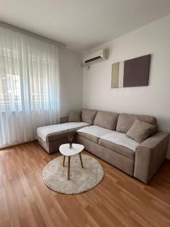 Apartman RUŽICA - Banja Koviljača - 0