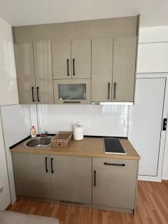 Apartman RUŽICA - Banja Koviljača - 8