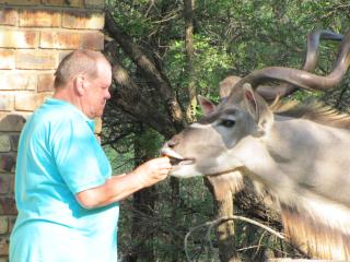 SERENITY Du Bois Lodge - Marloth Park - 2