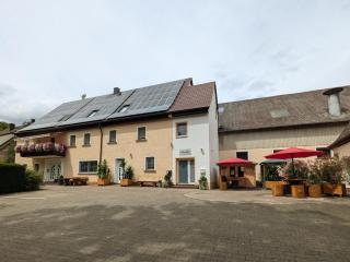 Lebererhof Apartments - XL2 - Roßtal - 8