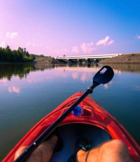 Blue Heron Cottage Oceanfront and Private trails - 1