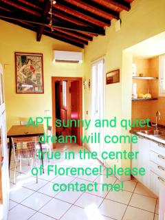 Apt bright, quiet! In the center. - Florence - 0