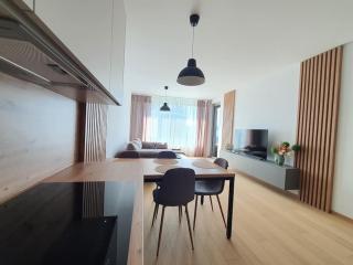 Modern apartment with garage parking - Bratislava - 1
