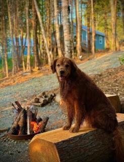 Compass Cove Cottage Oceanfront and Private trails - 2