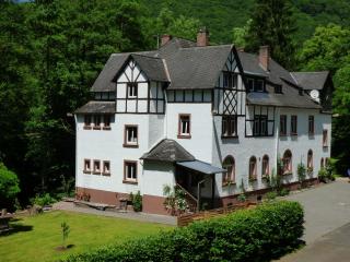 Wald Villa Üssbach - Alf - 2