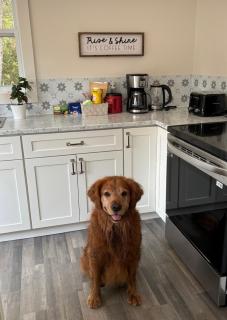 The Hideaway Cottage with Private trails - 7