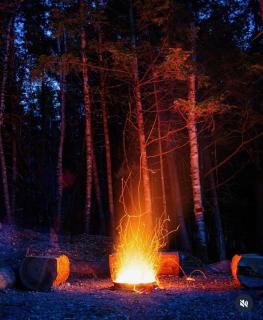 The Hideaway Cottage with Private trails - 1