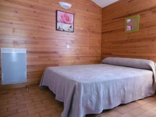 Les fougeres - Brocas - 4