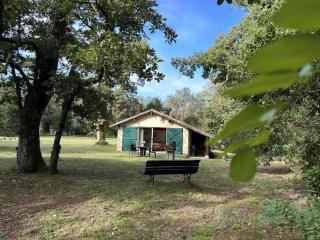 Gite de tambourin - Argelouse - 9