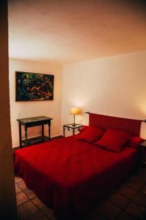 Vigne fere belgentier - 2