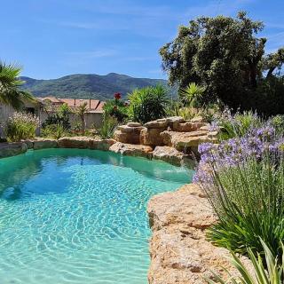 Le clos des anges - Gonfaron - 5