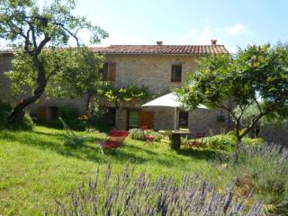 Gite bleu a ampus - 9