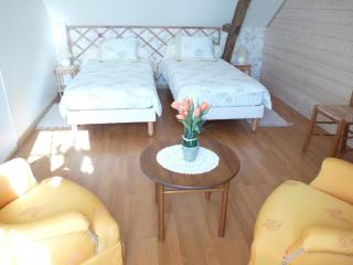La maison d'angel - Coussay-les-Bois - 4