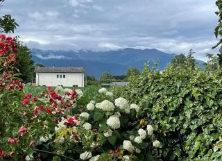 Chez hurou - Asson - 4
