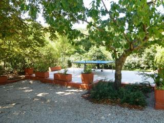 Le marronnier a la bouverie - Roquebrune-sur-Argens - 6