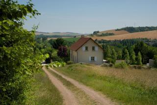 Les bigarreaux - Paisy-Cosdon - 6