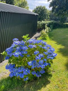 Swansea Log Cabin - 2