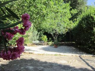 Le gite ambert - La Garde-Freinet - 3