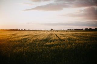 Gite au calme l'eclaircie - 8