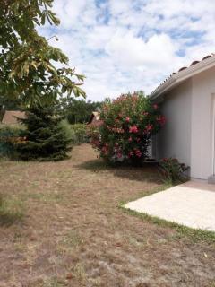 Villa ocean et foret - Vieux-Boucau-les-Bains - 0