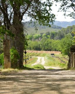 Le petit robernier - Montfort-sur-Argens - 8