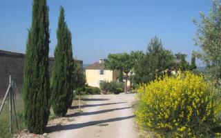 Campagne la clape g2365 - Vinon-sur-Verdon - 1