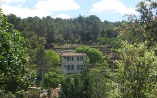Le bastidon des tilleuls - Le Beausset - 6