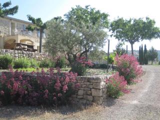 A la campagne cote piscine - Vinon-sur-Verdon - 2