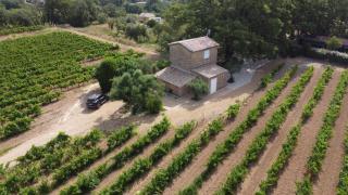 Le cabanon du capelan - La Motte - 9