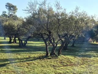 Mas de guili - Le Thoronet - 1