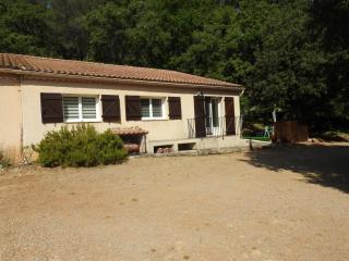 L'amphore - Draguignan - 0