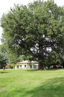 Le gite de marquin - Luglon - 6