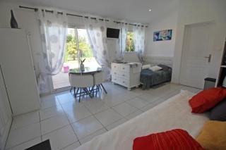 Les carpes a limoges - 3