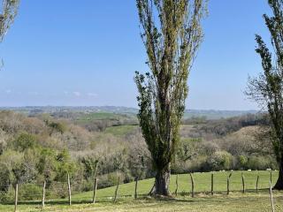 Trebuc - Labastide-Clairence - 4