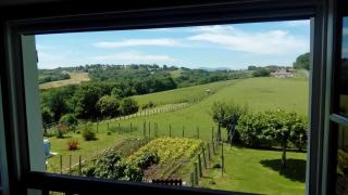 Agueramonde - Mouguerre - 7