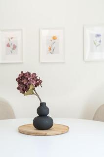 Modern apartment at Edem beach - Atene - 2