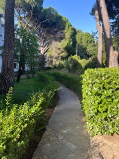 Estudio Pantano San Juan - 9