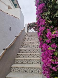 Lovely apartment near the beach in Sunny La Mata - Torrevieja - 4