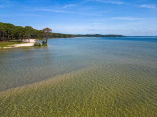 Maison de 40m² à Biscarrosse - Proche lac, pistes cyclables, plage - Accueille 4 pers. - Animaux OK - FR-1-319-484 - Biscarrosse - 1