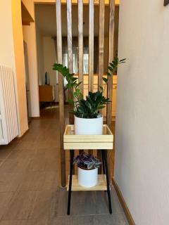 La casina di Ale - 2