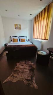 River Apartment - Sinaia - 8