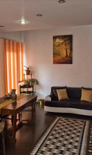River Apartment - Sinaia - 9